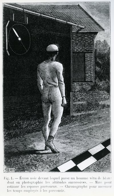 Illustrazione da 